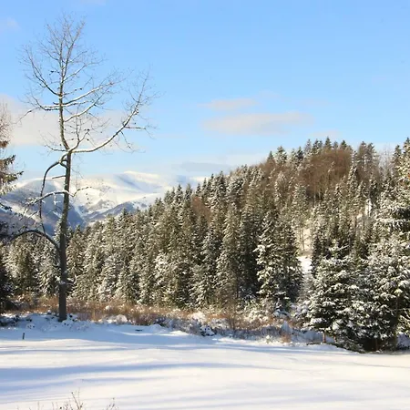 Шале Chata Bully 242/b Доновалы