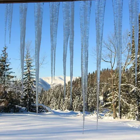 Шале Chata Bully 242/b Доновалы