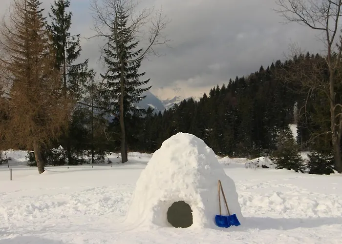 샬레 Bully 242/b *