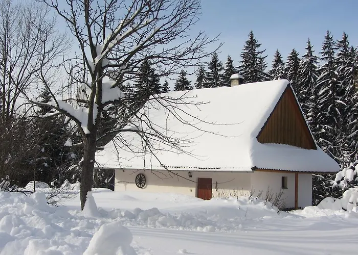 Bully 242/b 도노발리