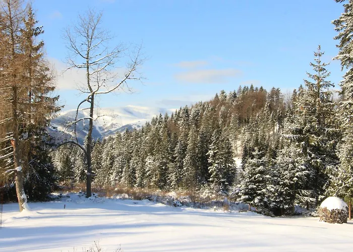 샬레 Bully 242/b 도노발리