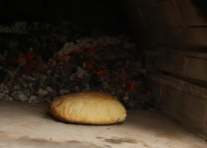 Bully 242/b 도노발리