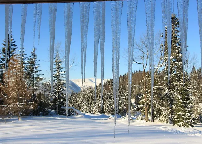 샬레 Bully 242/b 도노발리